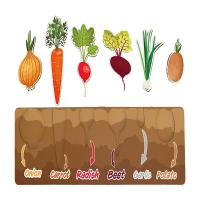 Kids Recognizing Vegetable Shape Peg Puzzle Learning Educational Toy Matching Cards Wooden Puzzle Great Gift For Girls And Boys Wooden Toys