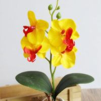 New Hot Simulation Flowers Fancy Four Butterfly Orchid Meaty Plant Bonsai Flower Arranging Accessories SMR88