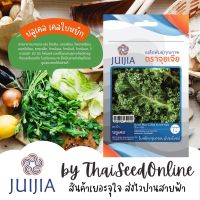 JJ เมล็ดพันธุ์ จุยเจีย บลูเคล เคลใบหยิก คะน้าใบหยิก Kale