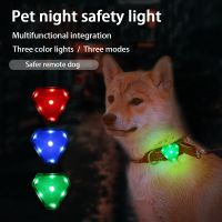 USB Rechargeable LED Dog Glowing Collar Pendant Night Safety Glow In The Dark Bright Leads Pendant Accessories