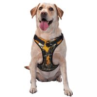 Dog Harness Pet Dog Chest Harness Vest Puppy Harness Outdoor Sports Pet Harness Traction Rope Suitable for Small and Medium Dogs