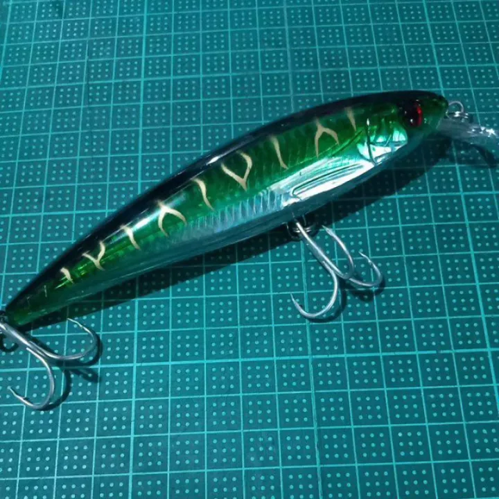 Budget Minnow Trolling Lure Fish Lure Bait (16cm) Lazada PH