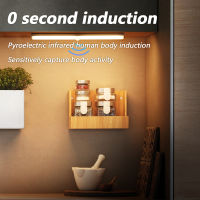 LED Kitchen USB Cabinet Light Ultra Thin 12223252cm Rechargeable Motion Sensor Closet Wardrobe Lamp Aluminum Night Light