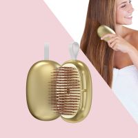 Professional Massage Brush Women Detangling Hair Brush Egg Shape Soft Promote Hair Growth Salon Hair Styling Hairdressing Comb