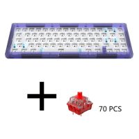 GAS67 Customized Mechanical Keyboard Kit with Red Axis DIY Kit Hot Swap Axis Wired RGB Backlight Gaming Keyboard