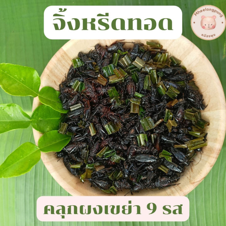 จิ้งหรีดไข่ทอด-แมลงทอด-คลุกผงเขย่า-9-รส