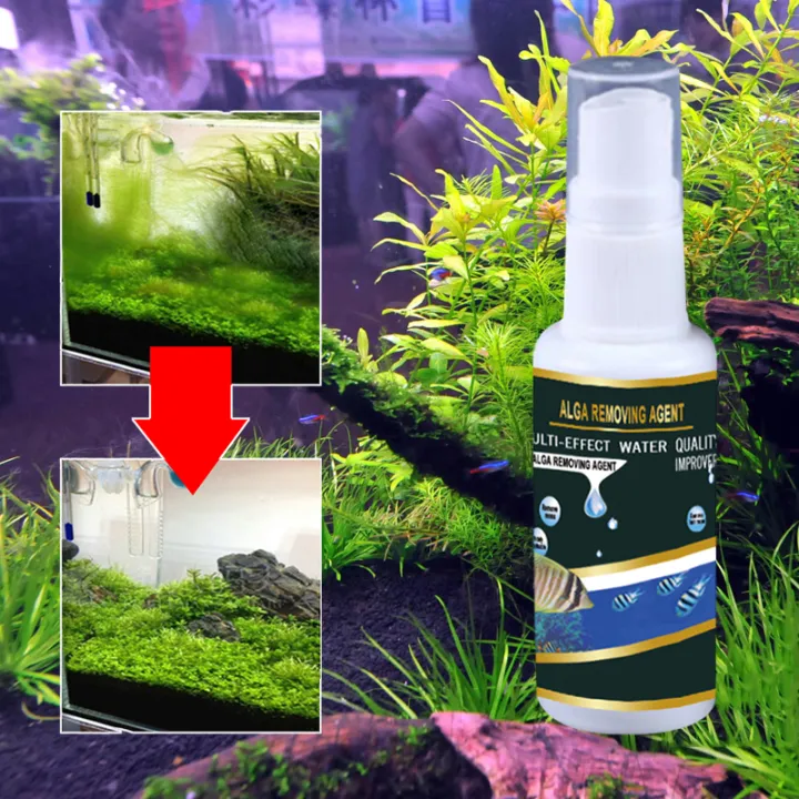 45g Aquarium Algae Remover Algae Remover Moss Removal Aquarium Algae