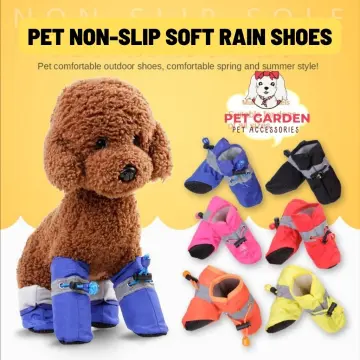 Dog shoes hot sale lazada