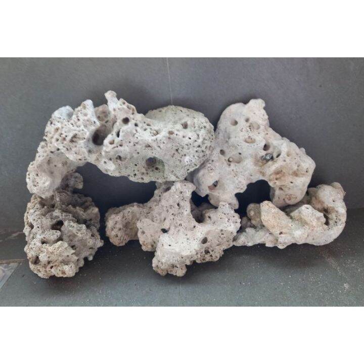 【Hot】 Dry Rocks Per Kilo for Saltwater Rock escape free Half kg basta