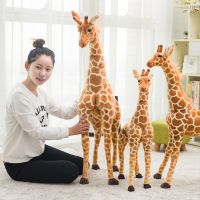 hot！【DT】♤✺  Huge Real Stuffed Dolls Soft Birthday Kids Bedroom