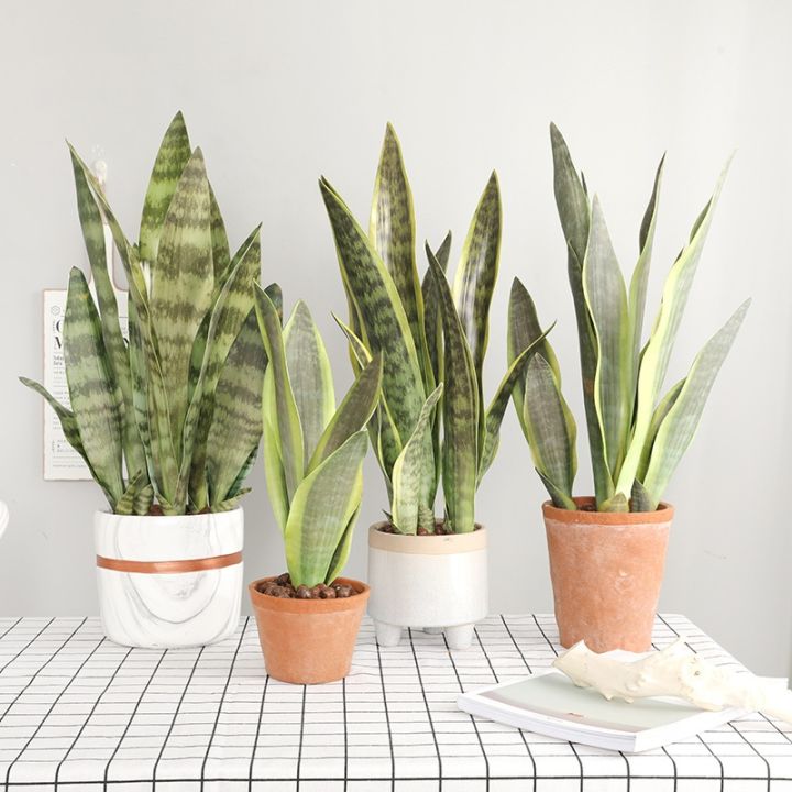 ayiq-flower-shop-พืชเทียมตกแต่งบอนไซ-sansevieria-ปลอมพลาสติกเสือปิรันใบไม้ว่านหางจระเข้อุปกรณ์ตกแต่งสวนบ้าน