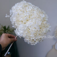 【cw】Preserved Hydrangea Office Decor Preserved Flowers Home Decoration Anna Hydrangea Wedding Decoration