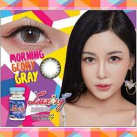 [สายฉ่ำวาว]Morning Glory Luxzylens คอนแทคเลนส์เกาหลี คอนแทคเลนส์ บิ๊กอาย bigeyes contactlens คอนแทคสายตา คอนแทค