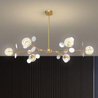 [COD] personality minimalist living room chandelier light luxury modern dining bedroom