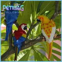 PETIBAG สำนักงานที่บ้าน ในร่มกลางแจ้ง สว่าง รูปปั้นมาคอว์ เครื่องประดับนก ตุ๊กตานกแก้ว ติดผนังได้ สวนต้นไม้