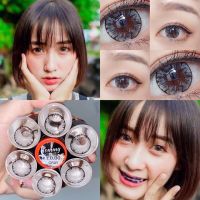 Tommy / Icy / OMG / Shimmer Gray 3 tone 3tone บิ๊กอาย สีเทา โทนแบ๊ว Contact Lens Bigeyes คอนแทคเลนส์ ค่าสายตา -7.00