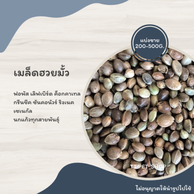 เมล็ดฮวยมั้ว (แบ่งขาย 200-500G.) สำหรับฝึกนก ให้รางวัลนก