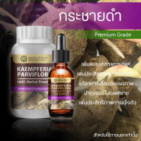 *เซ็ตสุดคุ้ม* กระชายดำ (เกรดพรีเมี่ยม) Kaempferia Parviflora (Black Ginger) สมุนไพรบำรุงสุขภาพท่านชาย เพิ่มสมรรถภาพทางเพศ