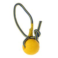 Dog Training Ball Toy Pet Interactive Toy Ball Dog Chew &amp; Fetch Ball With Rope Fun Puppy Toy Ball For Small To Large Dog