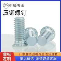 Original FH pressure riveting screw pressure riveting screw pressure plate screw screw environmentally friendly galvanized M2/2.5/3/4/5/6/8/10