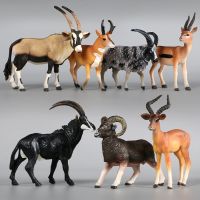 สัตว์ป่าสวนสัตว์พลาสติกรุ่นจำลอง Antelope Gazelle Argali รุ่น Action Figure ตุ๊กตาการสอนของเล่นเด็ก