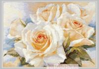 Gold Collection Counted Cross Stitch Kit White Roses Rose Flower Flowers alisa