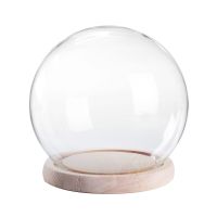 12cm Glass Dome Cover for Flower Succulent Plants Vase with Wood Cork Table Decor DIY Dustproof Case Box Display Stand