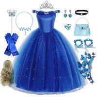 【CC】 Cinderella Costumes Kids Birthday Gown dresses