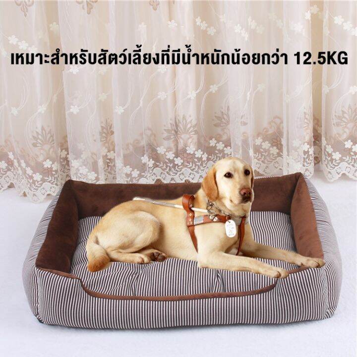 จัดส่งทันที-pop-ที่นอนสัตว์เลี้ยง-ไซร์จั้มโบ้xl-ที่นอนหมา-ที่นอนแมว-ที่นอนสุนัข-เบาะเเมว-ที่นอนหมาเเ