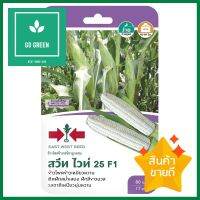 ข้าวโพดข้าวเหนียวลูกผสม F1 สวีทไวท์ 25 ศรแดงHYBRID WAXY CORN SEED F1 SORNDAENG SWEETWHITE 25 **ด่วน ของมีจำนวนจำกัด**