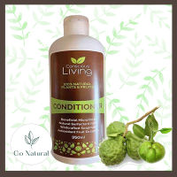 Conscious Living: Natural conditioner from plant and fruit