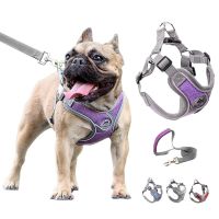 New Pet Dog Harness Leash Set Reflective Adjustable Vest Walking Lead Leash Soft Breathable Vest Harness For Small Medium Dogs Collars