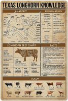 Cattle Knowledge ป้ายโลหะดีบุก-Texas Longhorn Anatomy Poster-แผ่นโลหะตกแต่งผนังที่สมบูรณ์แบบสำหรับโรงเรียนฟาร์มสัตว์หรือคลับ