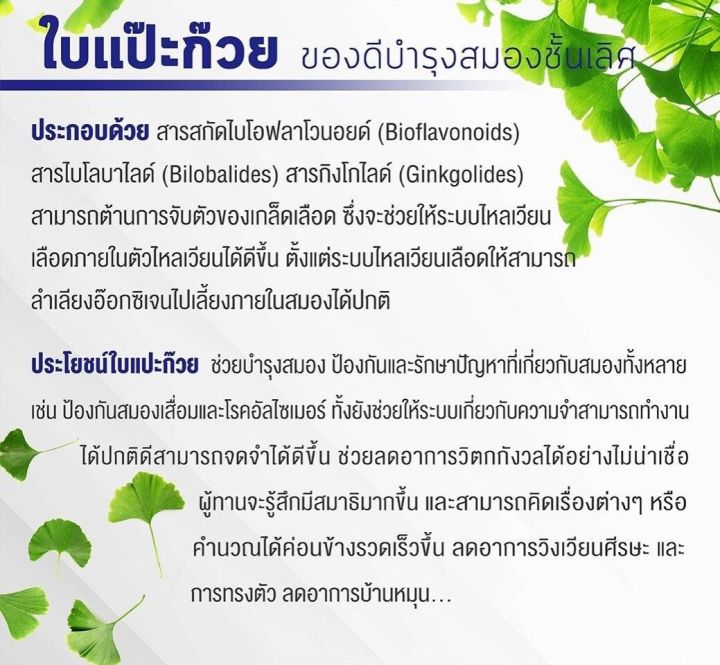 ส่งฟรี-จิงโกลา-กิฟฟารีน-แปะก๊วย-สารสกัดจากใบแปะก๊วย-ginkola-giffarine