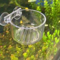 【cw】 Aquarium Food Dispenser Feeder Glass Pot Planting Cup Feeding Accessories