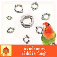 ห่วงเปิดนก #5 (เลิฟเบิร์ด) ห่วงขานก