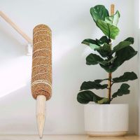 30/40/50cm Plant support Coir Moss Totem Pole Coir Moss Stick For Creepers Plant Support Indoor Garden Plants Coconut Palm Stick Food Storage  Dispens