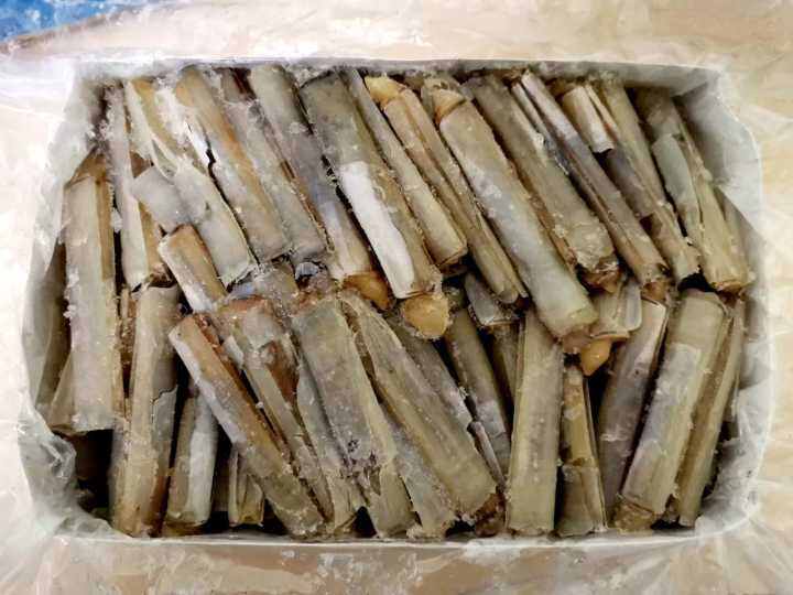 BAMBOO CLAM 810CM 竹滩 1KG Lazada