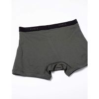 Direct from Japan the GUNZE STANDARD Boxer Briefs Mens M-LL 2-PackTH