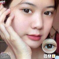 ✨Kwan gray (Wink lens) ขนาดตาโต Big ☀️กรองแสง uv (บิ๊กอาย คอนแทคเลนส์ Bigeye)