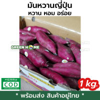 [พร้อมส่ง ของอยู่ไทย] มันหวานญี่ปุ่น หวาน หอม อร่อย ขนาด 1 Kg GREEN HOME