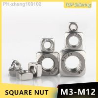 304 Stainless Steel Square Nuts M3 M4 M5 M6 M8 M10 M12 DIN557 Metric quadrate foursquare dimetric nut