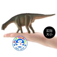 Munich Play - โมเดล ไดโนเสาร์ Nigersaurus ขนาด 22.00 CM (จากหาดใหญ่)