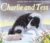 Charlie and Tess by Martin hall paperback Little Tiger Press