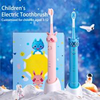 ZZOOI Childrens Sonic Electric Toothbrush 3D Cartoon Pattern Wireless Charging Rechargeable Kids with Replace Head Tooth Brush 3 Mode