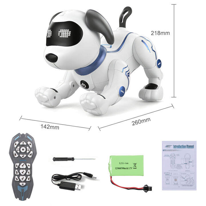 Remote Control Robot Dog & Cat - 2-in-1 DIY Mechanical Pet Toy With Walking Function For Kids