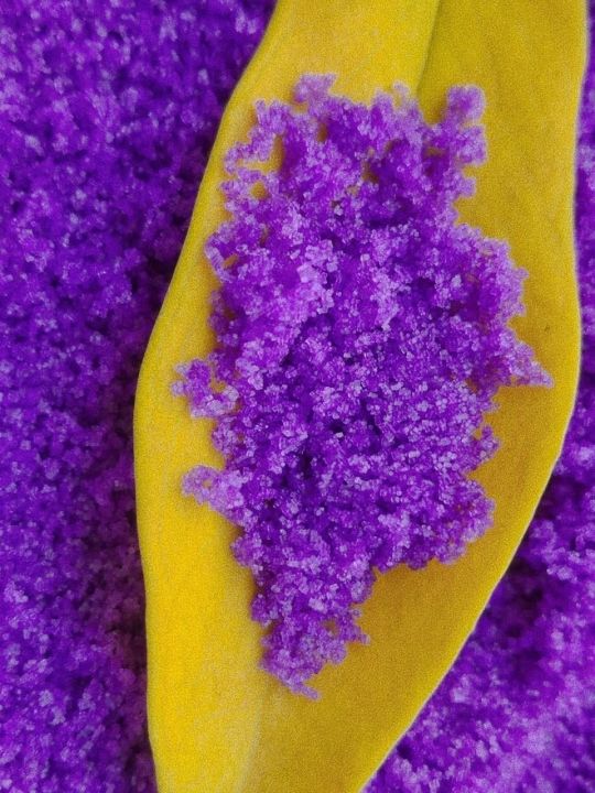 la-palm-vitamin-sea-spa-salts-sweet-lavender-dreams-soak-340-g-ของแท้-soak-แช่ผิว