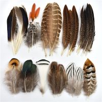 Natural Peacock Chicken Duck Pheasant Feather Small Dream Catcher Feathers Plume Handicraft Accessories Decor Jewelry Decoration