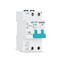 Tuya 2P WIFI การวัดแสง Circuit Breaker Smart Life รีโมทคอนโทรลไร้สายจับเวลา Automatic MCB Breaker Switch 63A-Pujeu