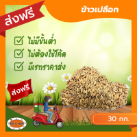 [ส่งฟรีไม่ต้องใช้โค้ด!!] ข้าวเปลือก สำหรับสัตว์